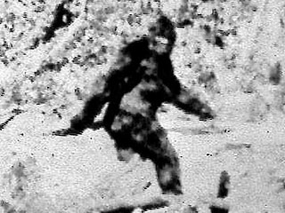 Картинка:0_61_bigfoot_film_still.jpg