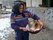 Модерна Пача, получила 33 брой точки.